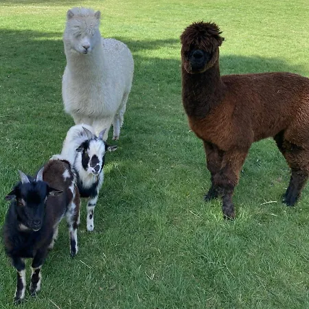 Ourea Alojamento de Acomodação e Pequeno-almoço Campan