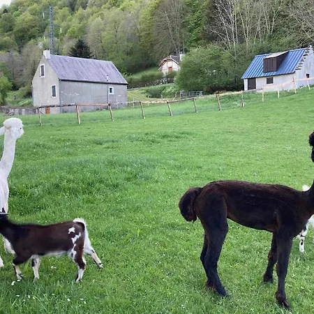 Oda ve Kahvaltı Ourea Campan