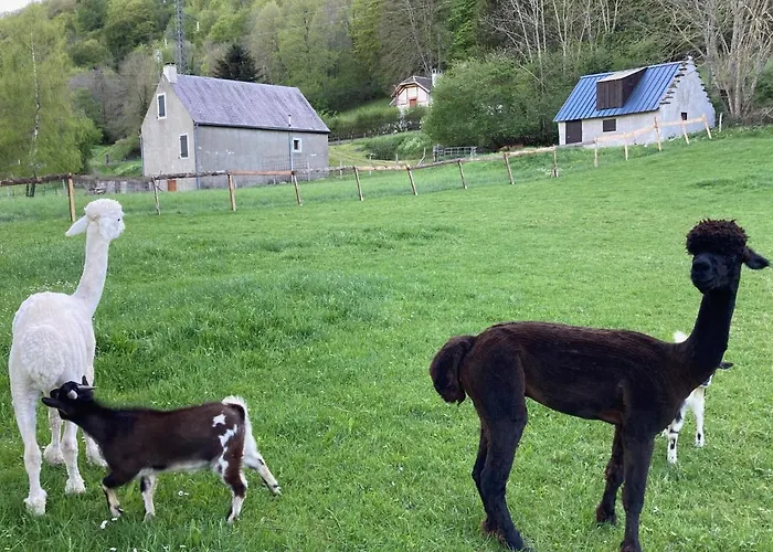 Couette-café Ouréa Campan